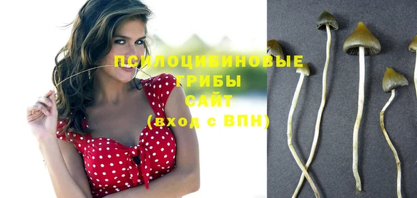 скорость Кинешма