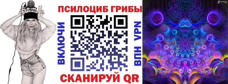 Галлюциногенные грибы Cubensis  закладка  Белгород 