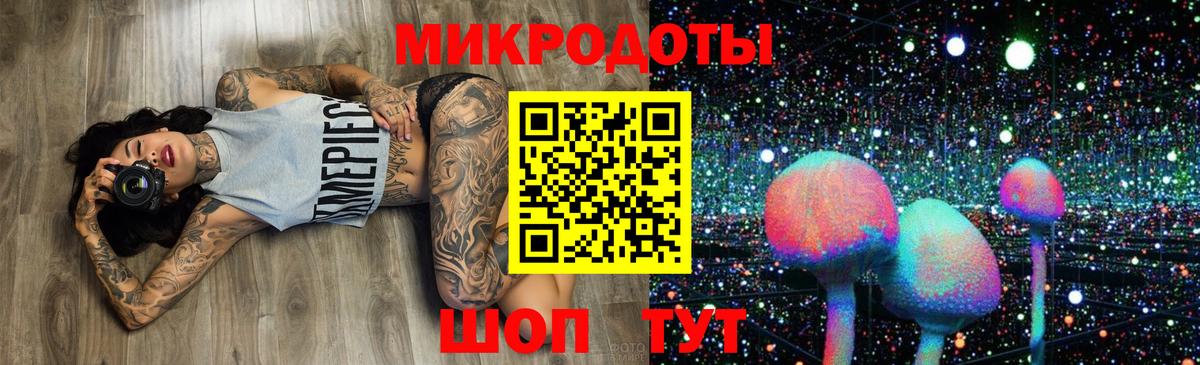 Галлюциногенные грибы Psilocybine cubensis Белгород